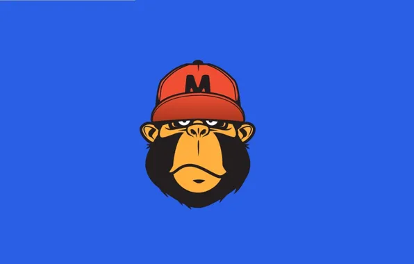 Red, Minimalism, Blue, Monkey, White, Black, Red, Yellow
