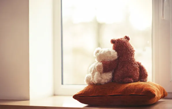 Picture love, toy, bear, window, bear, pair, pillow, love