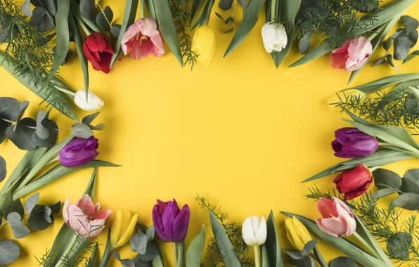 Flowers, colorful, tulips, flowers, beautiful, tulips, spring, multicolored