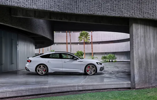 Audi, side view, RS5, Sportback, RS 5, 2020
