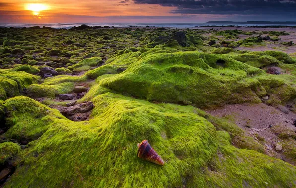 Sea, landscape, sunset, stones