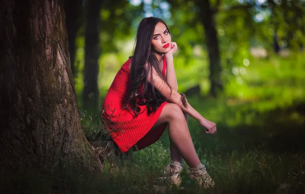 Eyes, look, girl, nature, face, tree, feet, brunette