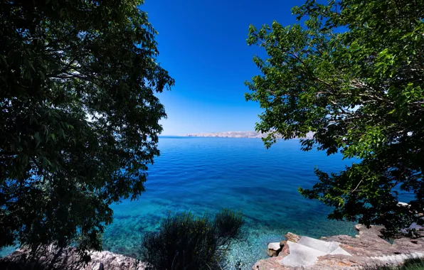 Picture the sky, trees, branches, stones, blue, coast, foliage, Bay