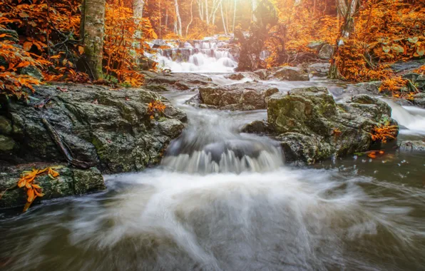 Autumn, forest, landscape, river, rocks, waterfall, forest, river