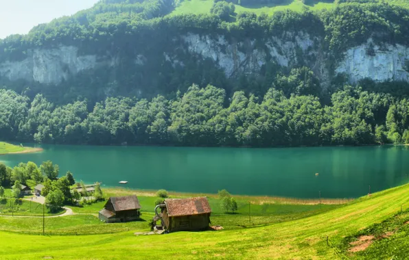 Grass, mountains, river, glade, Switzerland, houses, Switzerland, trees.