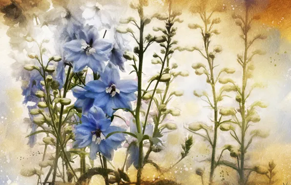 Picture flowers, background, texture