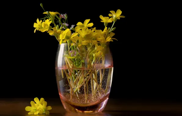 Glass, water, flowers, glass, glass, bouquet, yellow, black background