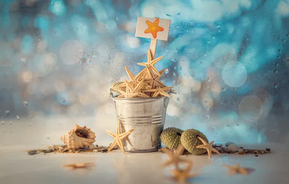 Picture water, drops, plate, shell, bokeh, starfish, bucket