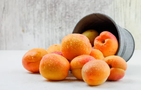 Drops, placer, bucket, apricots, ripe, large