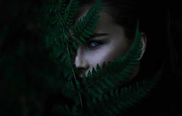 Leaves, portrait, bokeh, Michael Farber
