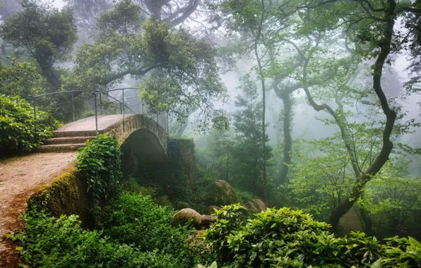 Forest, bridge, haze, Portugal, Sintra