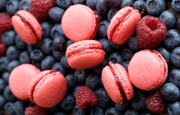 Berries, raspberry, cookies, blueberries, pink, Anna Verdina, macaron, macaron