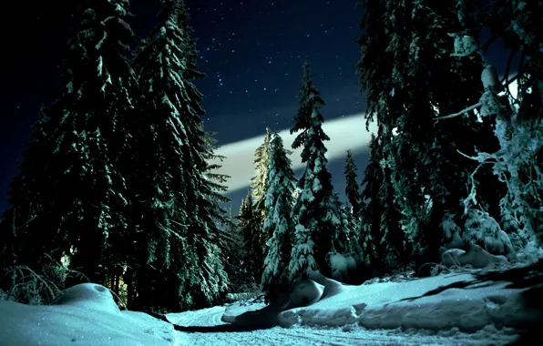 Winter, road, snow, trees, landscape, night, nature, stars