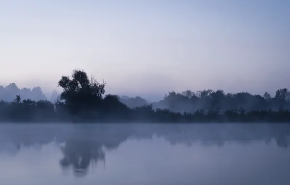 Landscape, night, fog, river