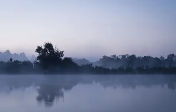 Picture landscape, night, fog, river