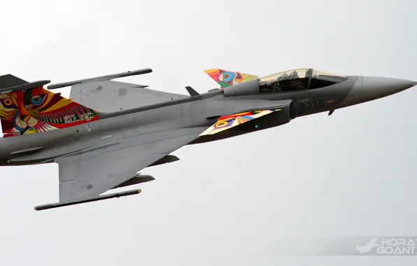 Picture weapons, the plane, Can JAS-39C Gripen