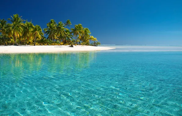 Sea, beach, palm trees, the Pacific ocean, cook Islands, water transparency, the island of Aitutaki