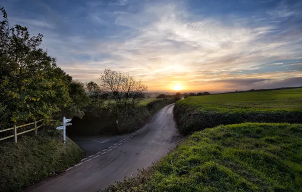 Picture road, field, sunset
