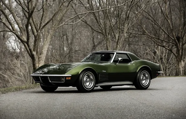 Corvette, Chevrolet, Chevrolet, 1970, Stingray, Corvette