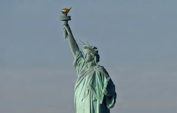 Picture freedom, the city, statue, new york city, statue of liberty