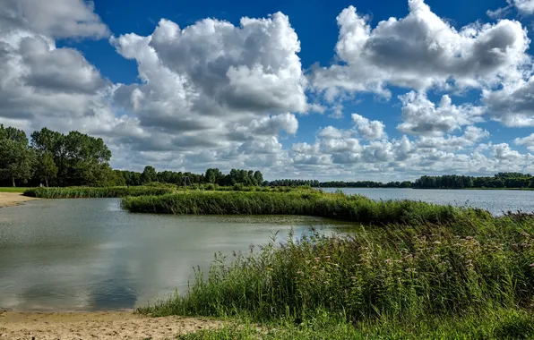 Sand, the sky, grass, clouds, trees, river, the reeds, Netherlands