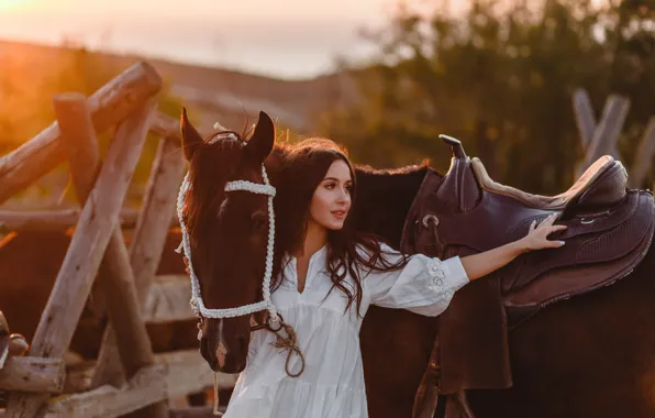 Look, girl, light, nature, horse, horse, brunette, saddle