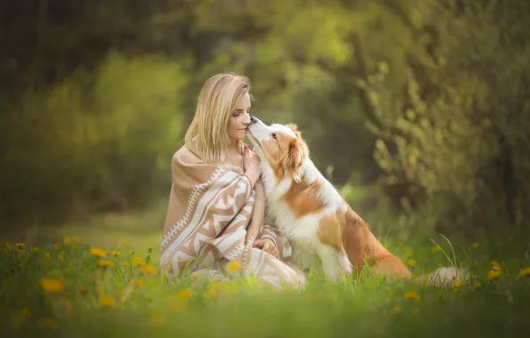 Picture grass, girl, flowers, mood, dog, spring, friendship, plaid