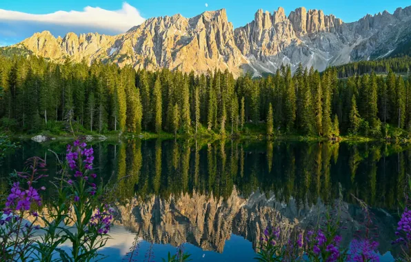 Forest, flowers, mountains, lake, reflection, Italy, Italy, The Dolomites