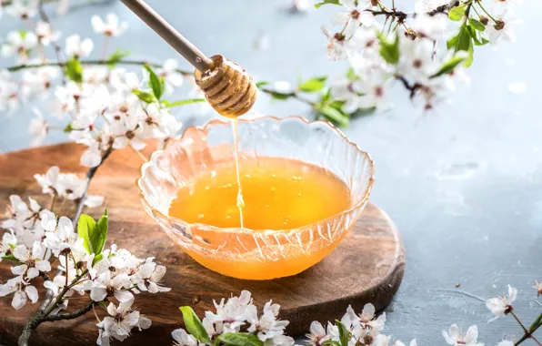 Flowers, branches, cherry, table, spring, honey, flowering, jet