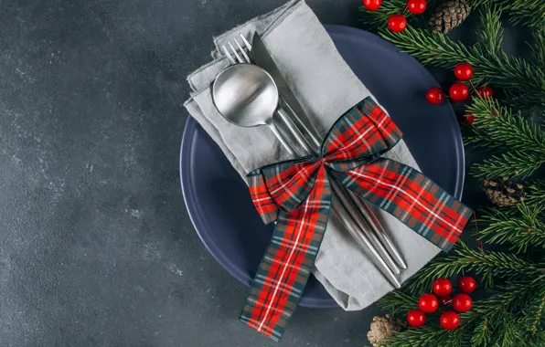 Branches, fruit, plate, Christmas, spoon, knife, New year, plug