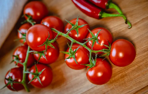 Red, vegetables, tomatoes, on the branch, tomatoes, ripe, delicious