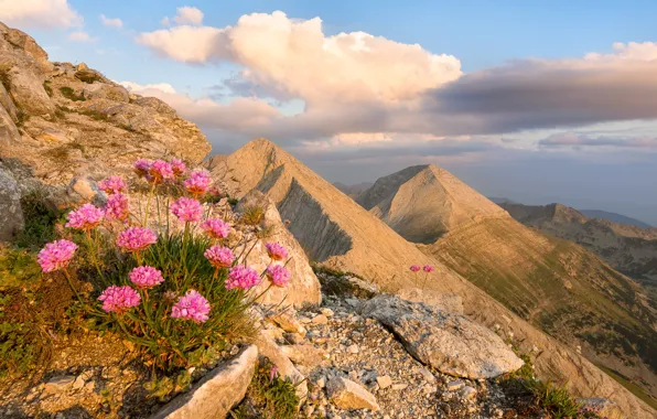 Picture the sky, clouds, landscape, flowers, mountains, nature, rocks, sky