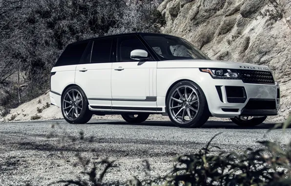 Picture Land Rover, Range Rover, land Rover, range Rover, Vogue, 2015