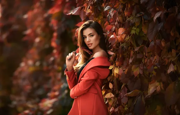 Picture autumn, look, leaves, hair, Girl, shoulder, coat, Anastasia Barmina