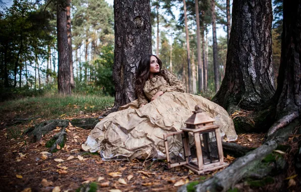 Picture forest, girl, dress