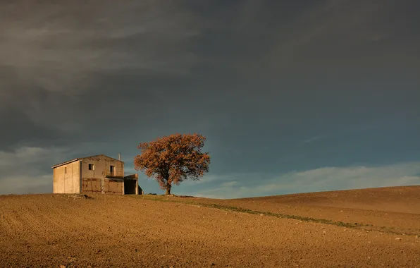 Picture field, the sky, trees, hills, home, Italy