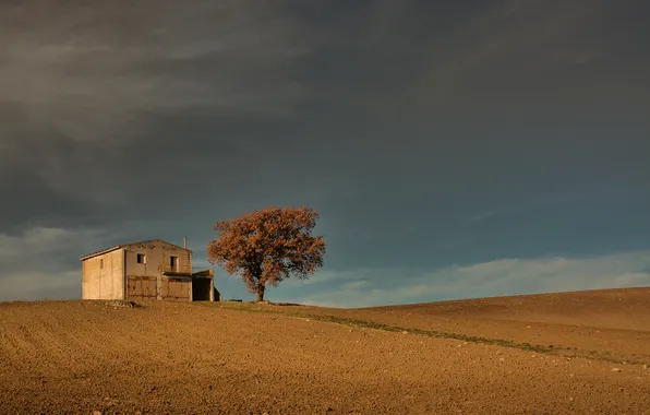 Picture field, the sky, house, tree, hills, Italy