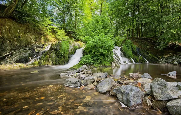 Picture forest, stones, cascade