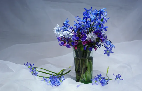 Picture flowers, beauty, bouquet, spring, snowdrops, may, primrose, a bunch