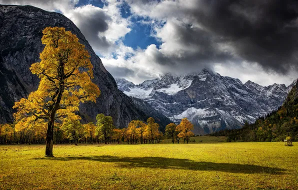 Field, autumn, forest, the sky, clouds, light, snow, mountains