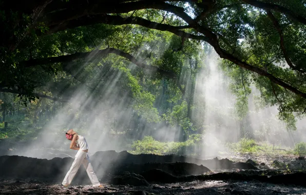 Light, forest, woman