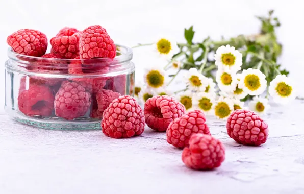 Picture flowers, berries, raspberry, chamomile, jars