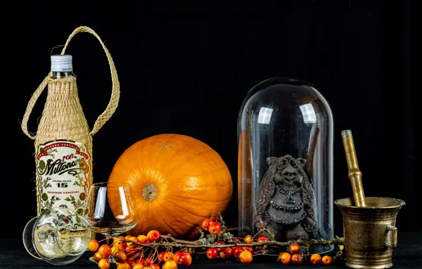 Berries, bottle, pumpkin, figurine, still life, black background