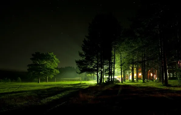 Picture light, trees, night, home