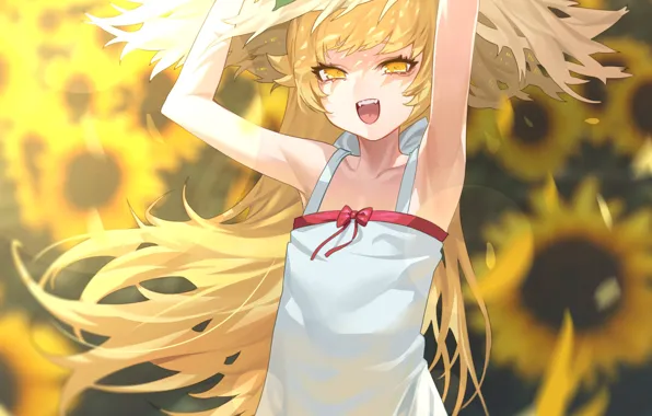 Summer, girl, sunflowers, Bakemonogatari, Oshino Shinobu