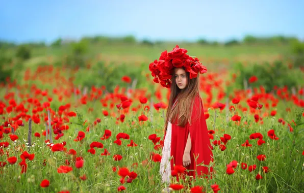 Field, flowers, nature, Maki, girl