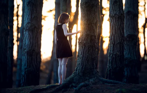 Picture forest, girl, loneliness