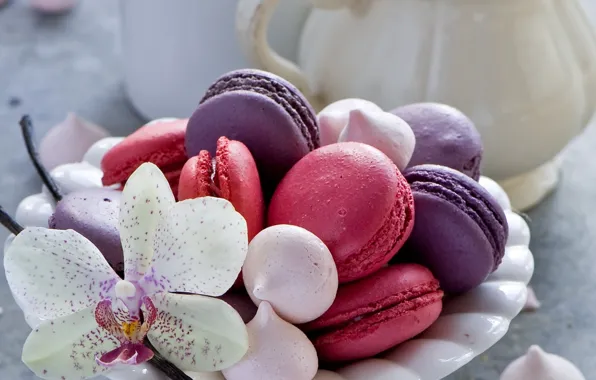 Cookies, plate, dessert, Orchid, Anna Verdina, macaron