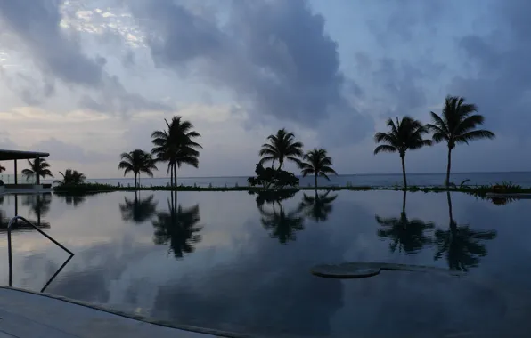 Picture sea, palm trees, Mexico