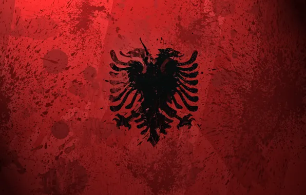 Paint, flag, Albania, Albania